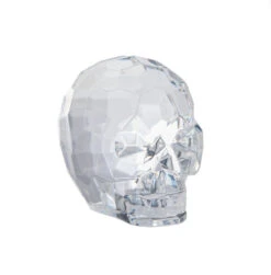 Acrylic Skull - Clear