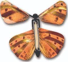 Wind Up Australian Butterfly - Orange