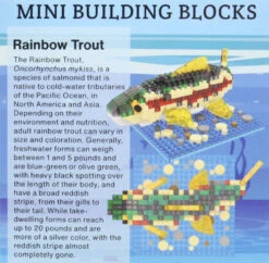 Mini Building Blocks - Rainbow Trout -Toy Series Store dnqd4mh5pzx2zhvfnq9b