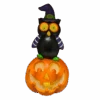 Owl On Pumpkin With Moving Digital Eyes