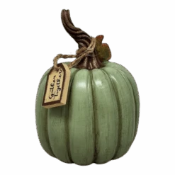 Charming Harvest Pumpkin - -Toy Series Store kt5jsf5up2m2uqnznqdk