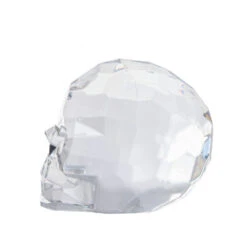 Acrylic Skull - Clear -Toy Series Store mcgloeybpdipbatktddb