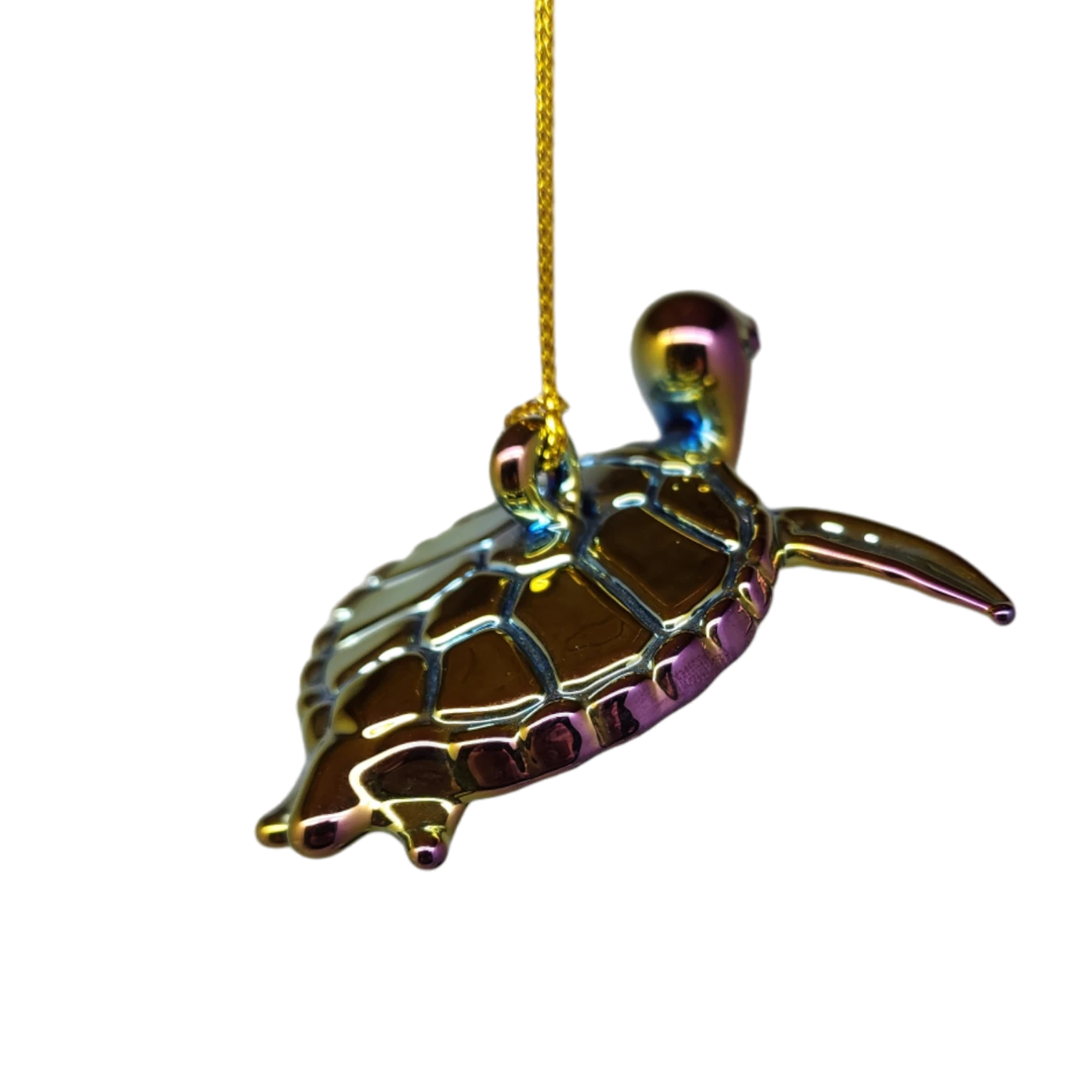 Chromatic Collection Seaturtle 2 Chromatic Collection Seaturtle - Image 2