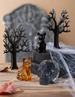 Acrylic Skull - Clear -Toy Series Store q5ntnhq7awd3jvela9j1