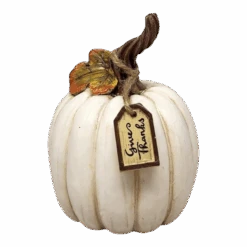 Charming Harvest Pumpkin - -Toy Series Store qemcgqd8smrktnbzldbt