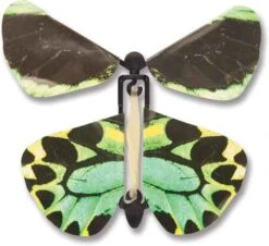 Wind Up Australian Butterfly - Green