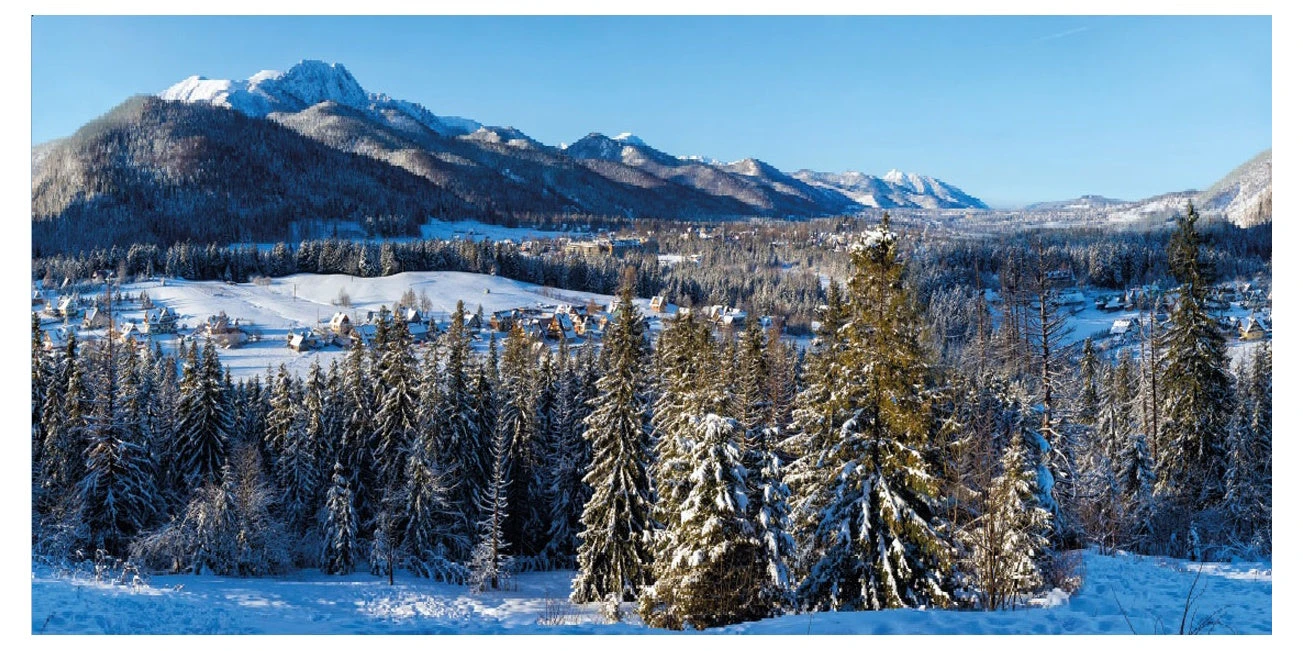 My Village Background Cloth - Winter Village - 118 Inches By 59 Inches 1 My Village Background Cloth - Winter Village - 118 Inches By 59 Inches