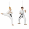 Karate Student Ornament -