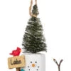 S'mores Outdoor Fun Ornament - Lake